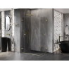 Mexen Lunar-F Duo kokkupandav dušinurk 100 x 80 cm, läbipaistev, harjatud kuldne - 836-100L-080P-55-00