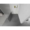 Mexen Kioto ścianka prysznicowa Walk-in 100 x 200 cm, transparent/szron 8 mm, złota - 800-100-101-50-35