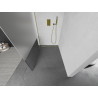 Mexen Kioto Walk-in Shower Screen 100 x 200 cm, Transparent/Frost 8 mm, Gold - 800-100-101-50-35