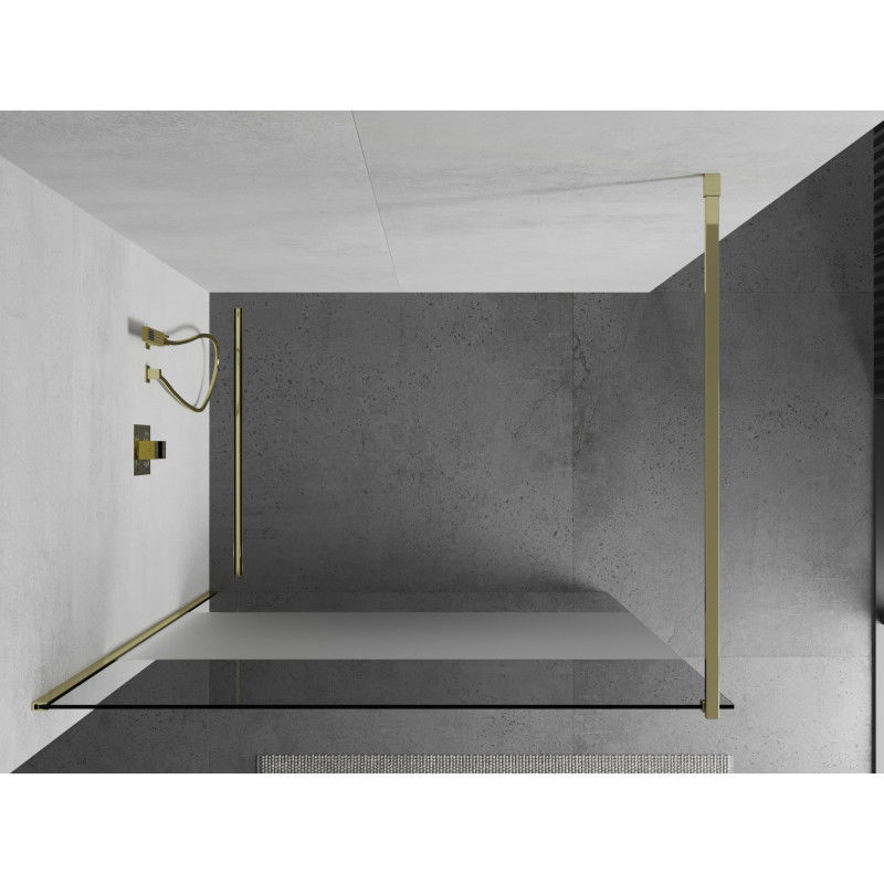 Mexen Kioto Walk-in Shower Wall 120 x 200 cm, Transparent/Frost 8 mm, Gold - 800-120-101-50-35
