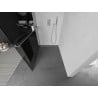 Mexen Kioto+ Duschwand mit Ablage Walk-in 100 x 200 cm, Graphit, Chrom - 800-100-121-01-40