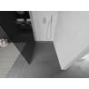 Mexen Kioto Walk-in Shower Wall 70 x 200 cm, Graphite 8 mm, Chrome - 800-070-101-01-40