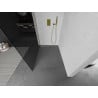 Mexen Kioto paroi de douche Walk-in 80 x 200 cm, graphite 8 mm, or - 800-080-101-50-40
