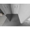 Mexen Kioto paroi de douche Walk-in 80 x 200 cm, miroir 8 mm, chrome - 800-080-101-01-50