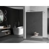 Mexen Kioto paroi de douche Walk-in 80 x 200 cm, miroir 8 mm, chrome - 800-080-101-01-50