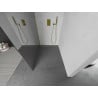 Mexen Kioto paroi de douche Walk-in 100 x 200 cm, miroir 8 mm, or - 800-100-101-50-50