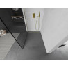 Mexen Kioto Walk-in Shower Wall 100 x 200 cm, Black Frame 8 mm, Gold - 800-100-101-50-70