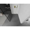 Mexen Kioto Panel de ducha Walk-in 100 x 200 cm, diseño negro 8 mm, dorado - 800-100-101-50-78