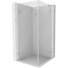 Mexen Lunar-B L Pivot Shower Enclosure Left 100 x 100 cm, Transparent, Brushed Gold - 832L-100-100-55-00-L