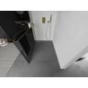 Mexen Kioto+ Duschwand mit Regal Walk-in 100 x 200 cm, Graphit, Gold - 800-100-121-50-40