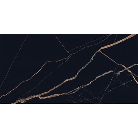Mexen Fossil Black, glasiertes, rektifiziertes Feinsteinzeug G1, Boden- und Wandfliese 120 x 60 cm, Hochglanz - TL213-120-060-00