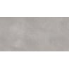 Mexen Mileo Silber glasiertes Feinsteinzeug rek. G1, Boden- und Wandfliese 120 x 60 cm, matt - TL301-120-060-00