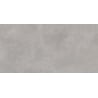 Mexen Mileo Silber glasiertes Feinsteinzeug rek. G1, Boden- und Wandfliese 120 x 60 cm, matt - TL301-120-060-00