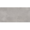 Mexen Mileo Silber glasiertes Feinsteinzeug rek. G1, Boden- und Wandfliese 120 x 60 cm, matt - TL301-120-060-00