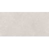 Mexen Semars Silver glazed rectified porcelain tile, floor-wall tile 120 x 60 cm, matte - TL305-120-060-04