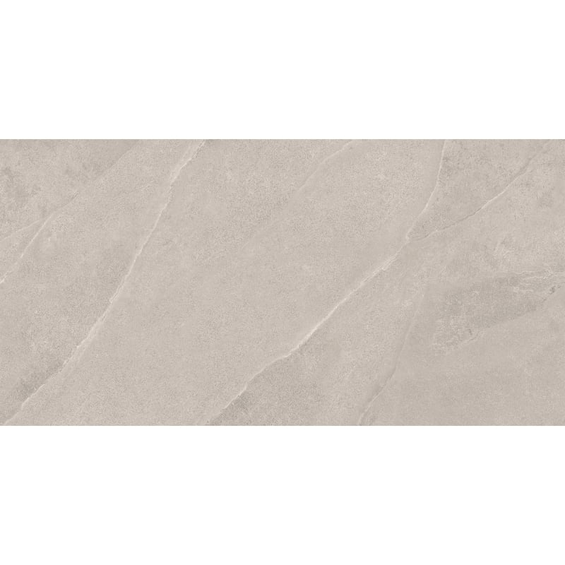 Mexen Aryan Silber glasiertes Feinsteinzeug rekt. G1, Boden- und Wandfliese 120 x 60 cm, matt - TL310-120-060-05