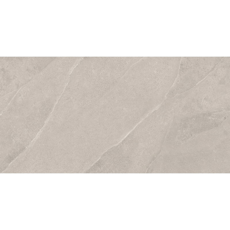 Mexen Aryan Zilver geglazuurd gerectificeerd gres G1, vloer- en wandtegel 120 x 60 cm, mat - TL310-120-060-05