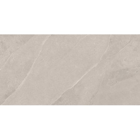 Mexen Aryan Silber glasiertes Feinsteinzeug rekt. G1, Boden- und Wandfliese 120 x 60 cm, matt - TL310-120-060-05