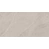 Mexen Aryan Silber glasiertes Feinsteinzeug rekt. G1, Boden- und Wandfliese 120 x 60 cm, matt - TL310-120-060-05