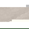 Mexen Aryan Silber glasiertes Feinsteinzeug rekt. G1, Boden- und Wandfliese 120 x 60 cm, matt - TL310-120-060-05