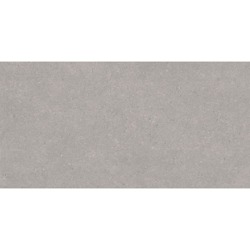 Mexen Monaco Grijs geglazuurd gerectificeerd G1 gres, vloer- en wandtegel 120 x 60 cm, mat - TL313-120-060-02