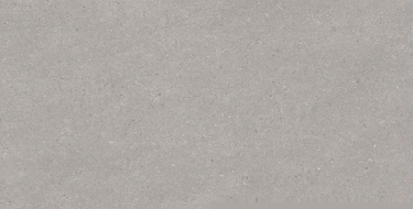 Mexen Monaco Grijs geglazuurd gerectificeerd G1 gres, vloer- en wandtegel 120 x 60 cm, mat - TL313-120-060-02