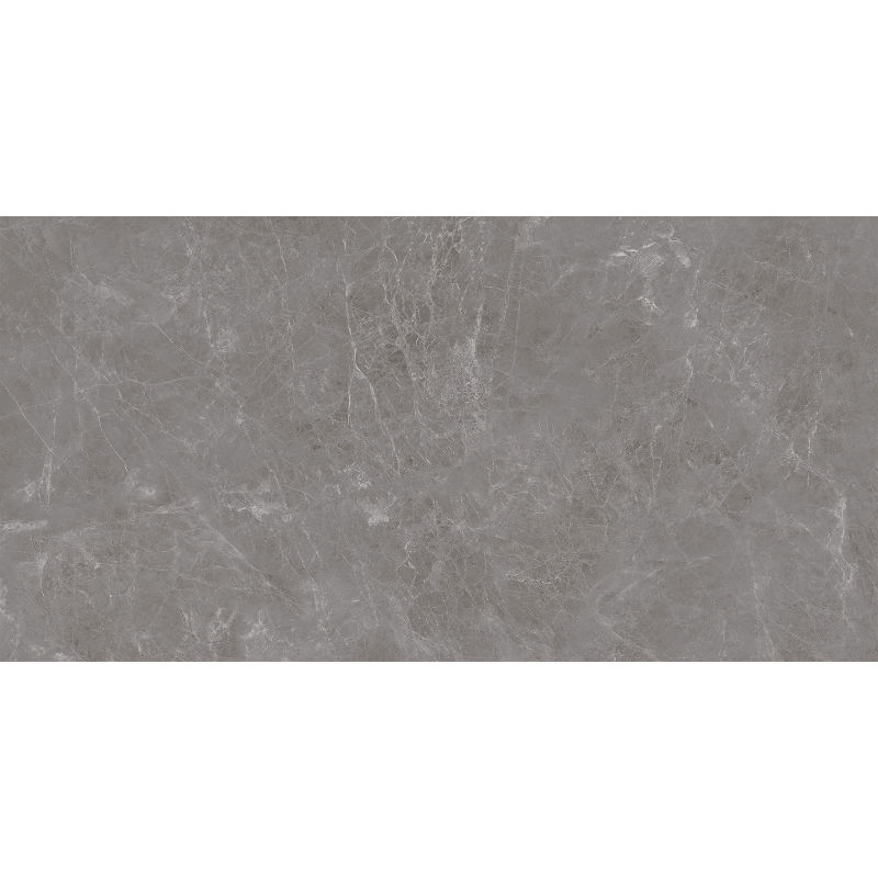 Mexen Runa Grijs geglazuurde gres gerectificeerd G1, vloer-wandtegel 120 x 60 cm, mat - TL323-120-060-01