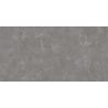 Mexen Runa Gris carreau céramique émaillé rectifié G1, carreau sol-mur 120 x 60 cm, mat - TL323-120-060-01