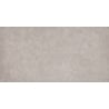 Mexen Town Silver glazed rectified porcelain tile G1, floor and wall tile 120 x 60 cm, matte - TL325-120-060-04