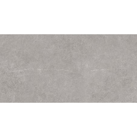 Mexen Deago Gris carreau en grès cérame émaillé rectifié G1, carreau sol-mur 120 x 60 cm, mat - TL326-120-060-02