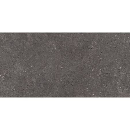 Mexen Elvas Ash glazed rectified G1, floor-wall tile 120 x 60 cm, matte - TL330-120-060-00