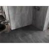 Mexen Lunar ścianka prysznicowa Walk-in prawa 140 x 200 cm, transparent 8 mm, gun gray szczotkowany - 830-140-000-66-00-P