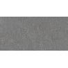 Mexen Megnum Grey glasiertes Feinsteinzeug rekt. G1, Boden- und Wandfliese 120 x 60 cm, matt - TL342-120-060-02