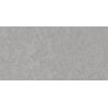 Mexen Megnum Silber glasiertes Rektifikat. G1, Boden- und Wandfliese 120 x 60 cm, matt - TL342-120-060-03