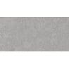 Mexen Megnum Silber glasiertes Rektifikat. G1, Boden- und Wandfliese 120 x 60 cm, matt - TL342-120-060-03