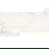 Mexen Brakel Gold gepolijst gerectificeerd gres G1, vloer- en wandtegel 120 x 60 cm, carving - TL402-120-060-00