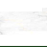 Mexen Brakel Wit geglazuurde gerectificeerde G1, vloer- en wandtegel 120 x 60 cm, carving - TL402-120-060-01