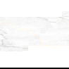 Mexen Brakel Wit geglazuurde gerectificeerde G1, vloer- en wandtegel 120 x 60 cm, carving - TL402-120-060-01
