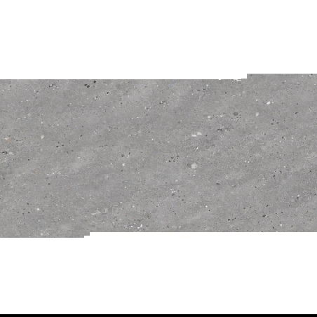 Mexen Flakes Grey geglazuurd gerectificeerd G1, vloer-wandtegel 120 x 60 cm, gravering - TL411-120-060-00