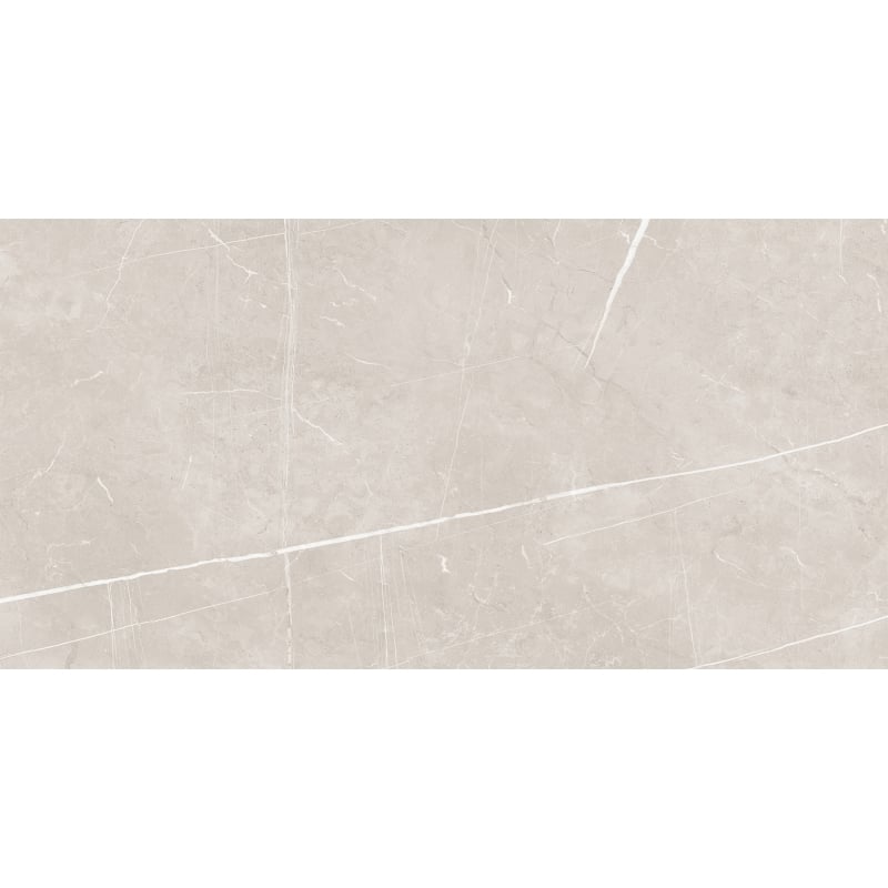 Mexen Dazzle Silver carreaux de grès émaillés rect. G1, carreau sol-mur 120 x 60 cm, carving - TL423-120-060-00