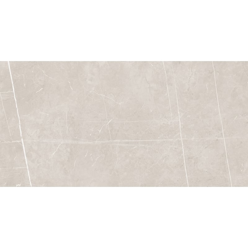 Mexen Dazzle Silver geglazuurd gerectificeerd G1, vloertegel-wandtegel 120 x 60 cm, carving - TL423-120-060-00