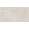 Mexen Dazzle Silver geglazuurd gerectificeerd G1, vloertegel-wandtegel 120 x 60 cm, carving - TL423-120-060-00