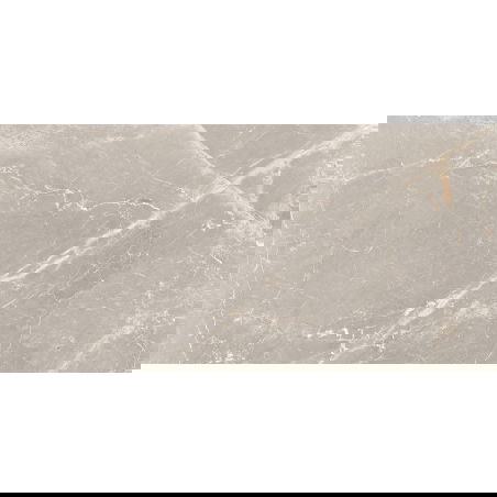 Mexen Dorado Grey gres esmaltado rectificado G1, azulejo de suelo-pared 120 x 60 cm, carving - TL431-120-060-01