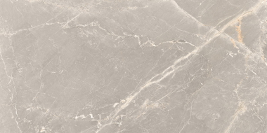 Mexen Dorado Grey Glazed Rectified Porcelain Tile G1, Floor-Wall Tile 120 x 60 cm, Carving - TL431-120-060-01
