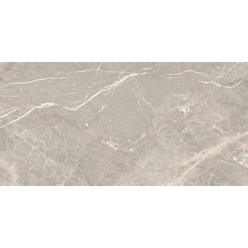 Mexen Dorado Grey Glazed Rectified Porcelain Tile G1, Floor-Wall Tile 120 x 60 cm, Carving - TL431-120-060-01