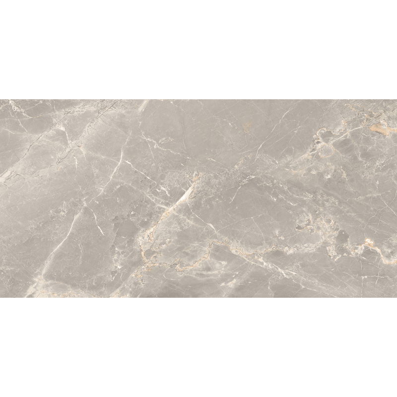 Mexen Dorado Grey glazed porcelain rectified G1, floor-wall tile 120 x 60 cm, carving - TL431-120-060-01