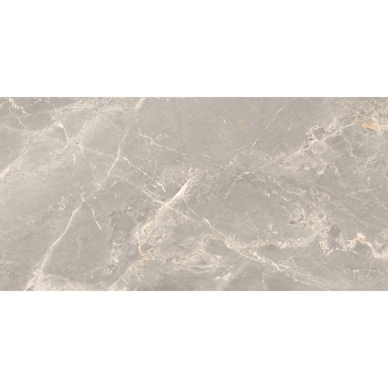 Mexen Dorado Grey Glazed Rectified Porcelain Tile G1, Floor-Wall Tile 120 x 60 cm, Carving - TL431-120-060-01