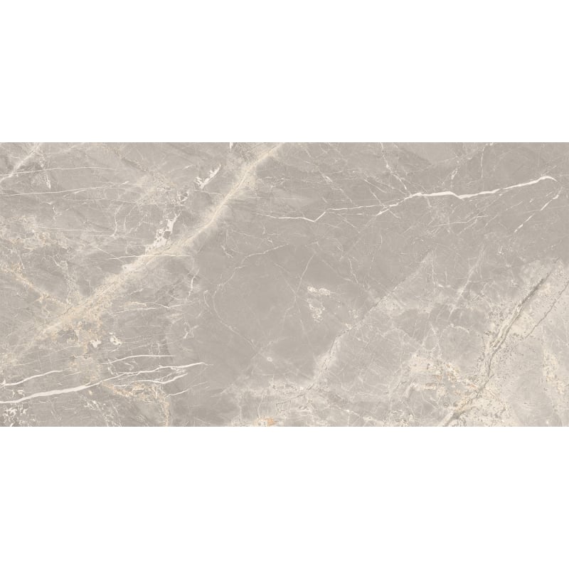 Mexen Dorado Grey Glazed Rectified Porcelain Tile G1, Floor-Wall Tile 120 x 60 cm, Carving - TL431-120-060-01