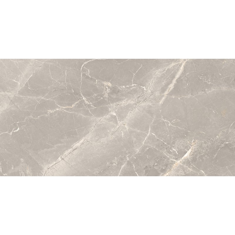 Mexen Dorado Grey Glazed Rectified Porcelain Tile G1, Floor-Wall Tile 120 x 60 cm, Carving - TL431-120-060-01
