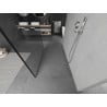 Mexen Kioto panneau de douche autoportant 100 x 200 cm, cadre noir 8 mm, chrome - 800-100-002-01-70